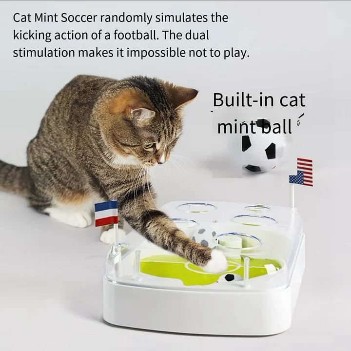 🐾 Interactive Soccer Stadium Cat Toy