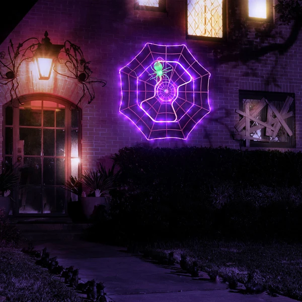 🕷️ Outdoor Animated Spider Web