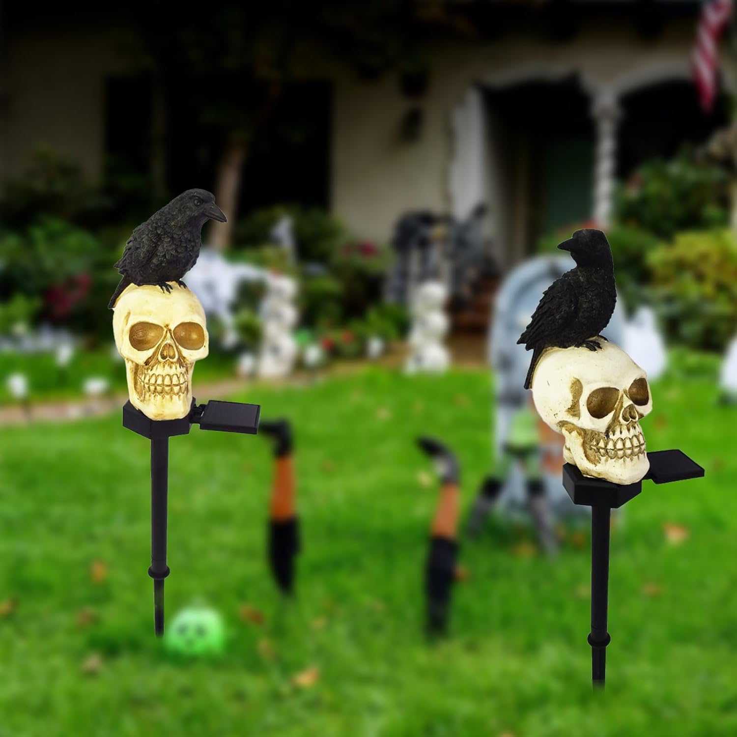 💀 A Skull & Crow That Light Your Path