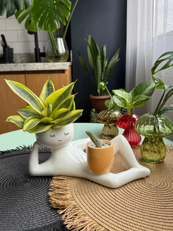 Lazy Guy Planter – Funniest Desk Decor 🌿😎