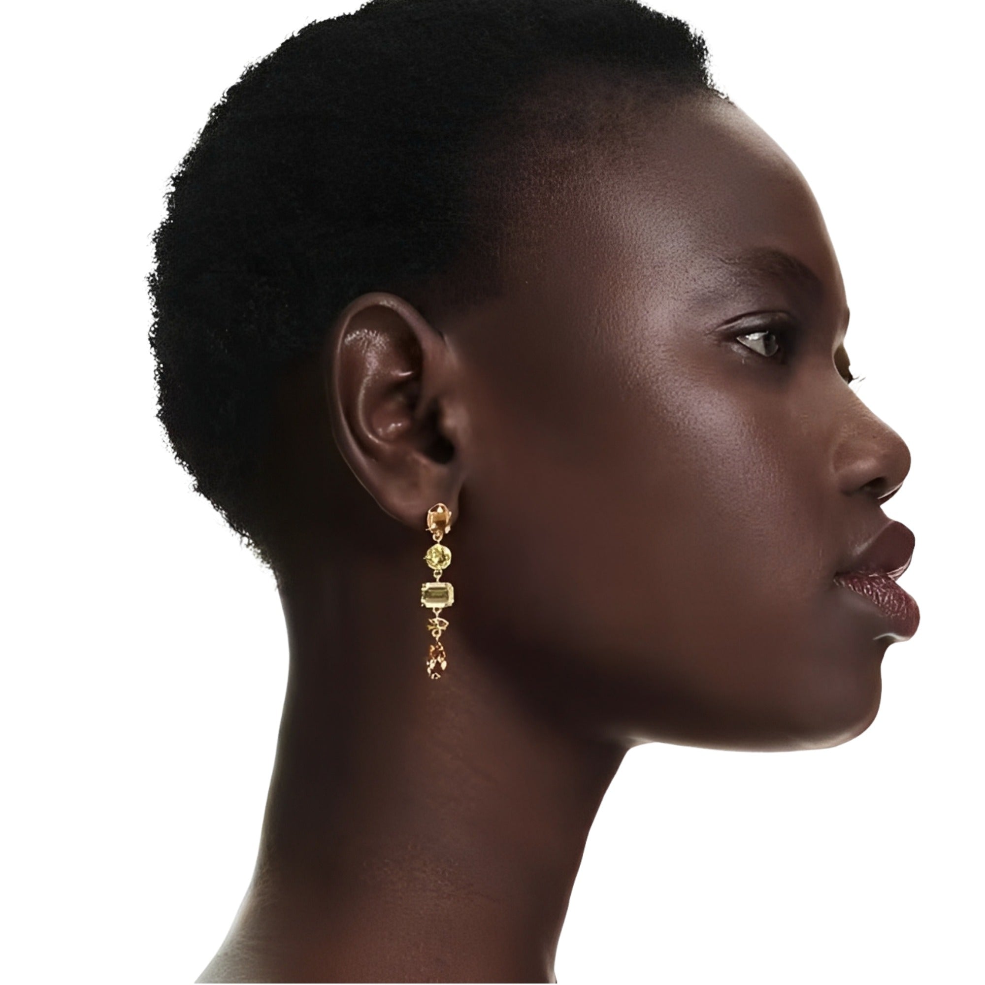 Gaby Multicolor Mixed Shape Earrings