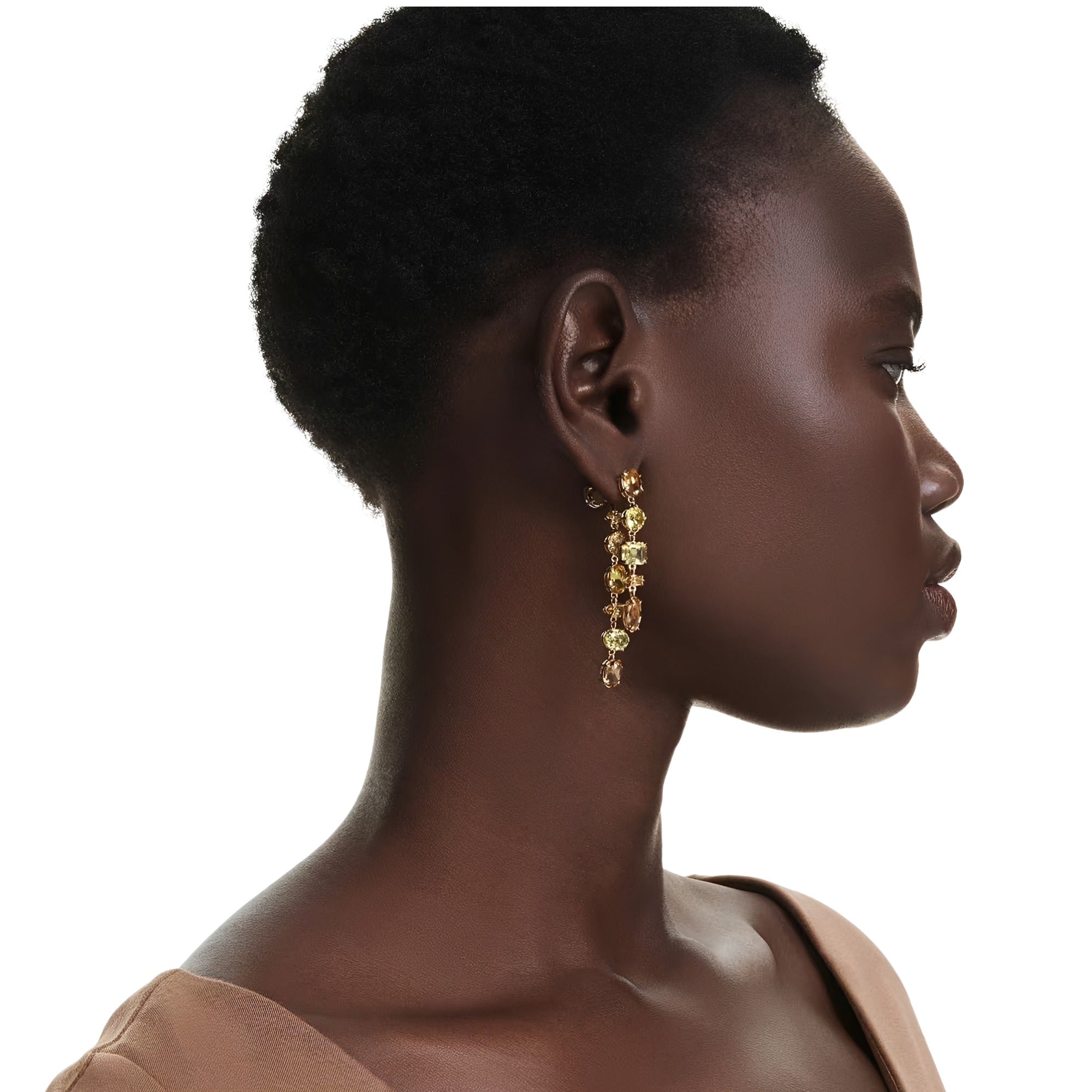Gaby Multicolor Mixed Shape Earrings
