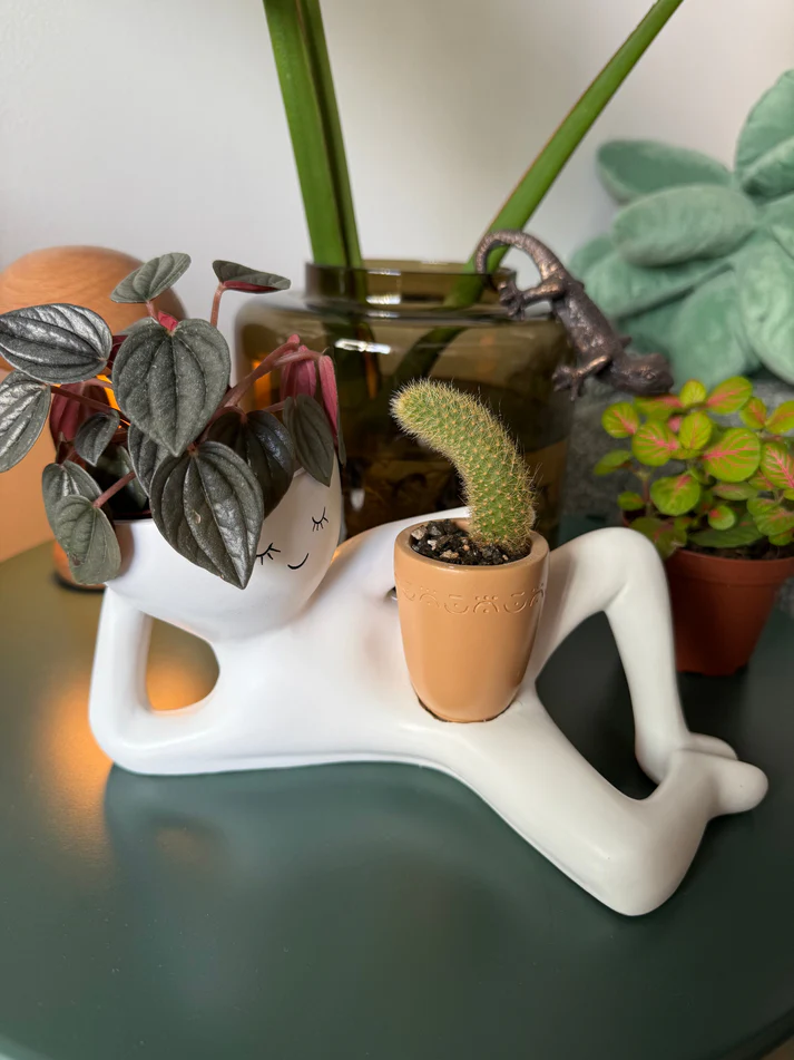 Lazy Guy Planter – Funniest Desk Decor 🌿😎