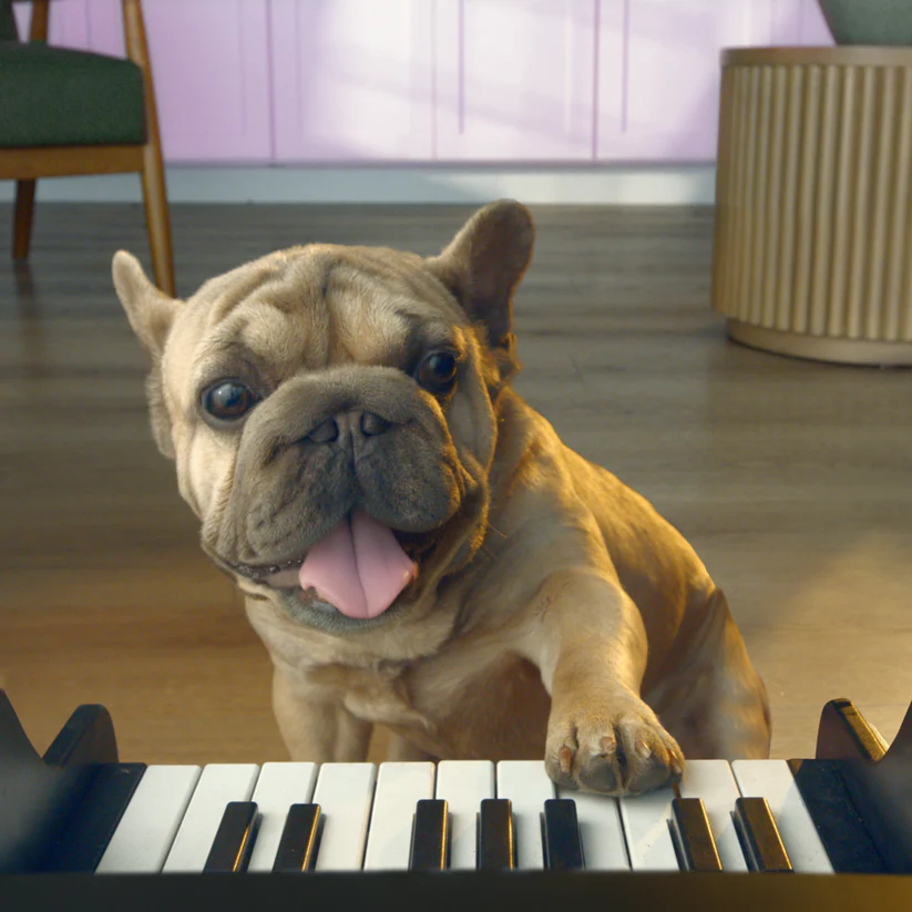 Smart Interactive Pet Piano Feeder 🐾🎹