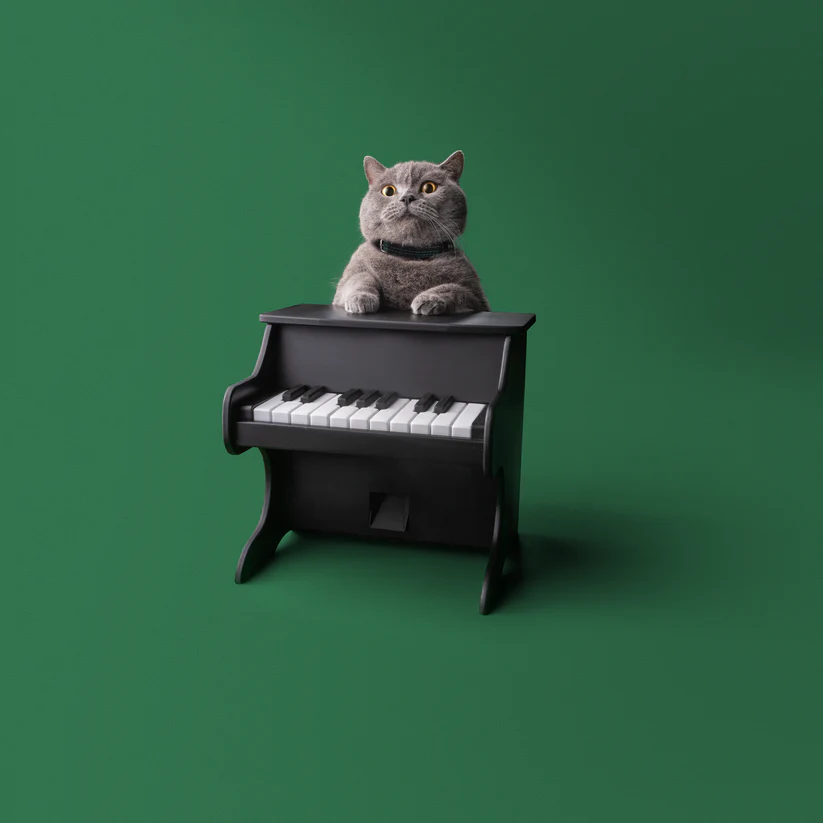 Smart Interactive Pet Piano Feeder 🐾🎹