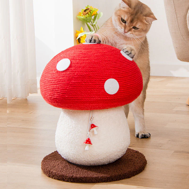 🍄 Mushroom Cat Scratching Post