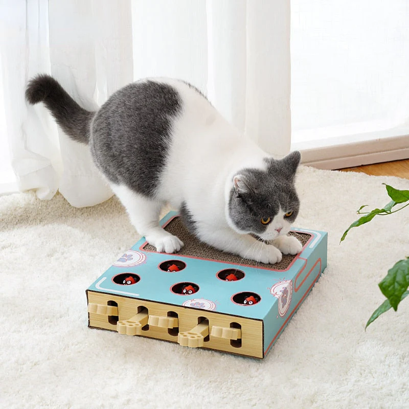 🐾 Interactive Whack-a-Mole Cat Scratching Toy