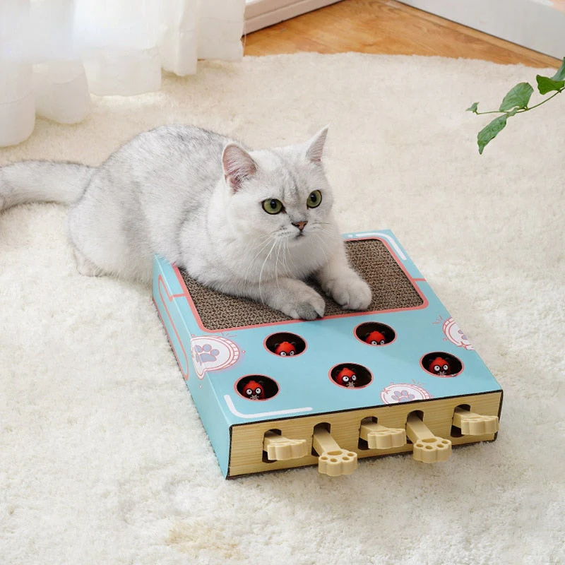 🐾 Interactive Whack-a-Mole Cat Scratching Toy
