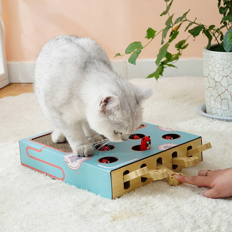 🐾 Interactive Whack-a-Mole Cat Scratching Toy