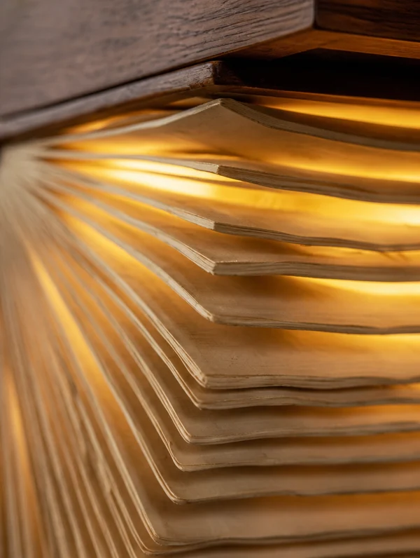 📖 Cordless Glowing Bookshelf – Solid Wood Reading Nook Light