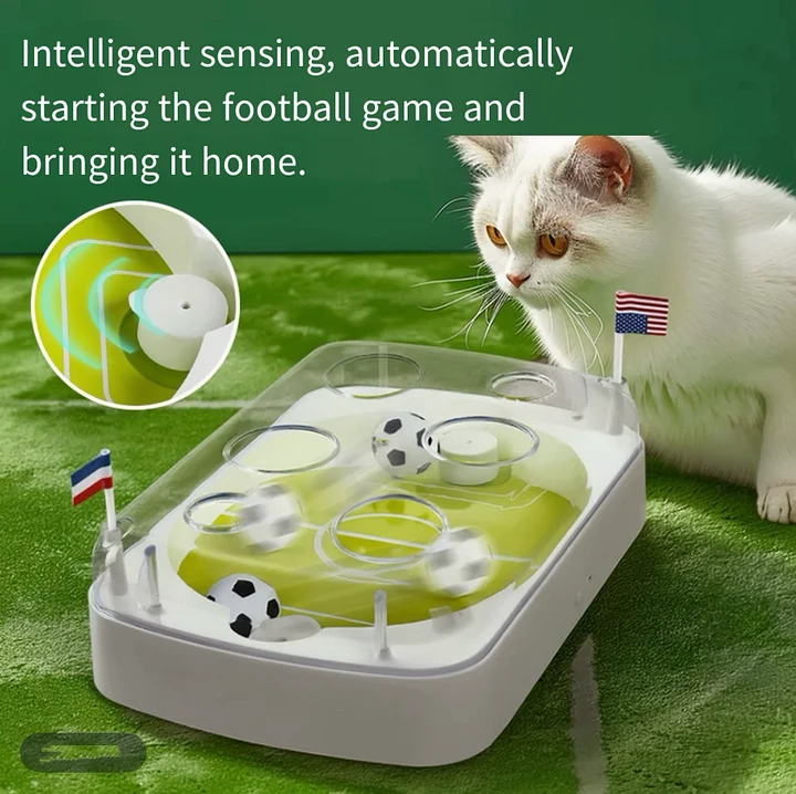 🐾 Interactive Soccer Stadium Cat Toy