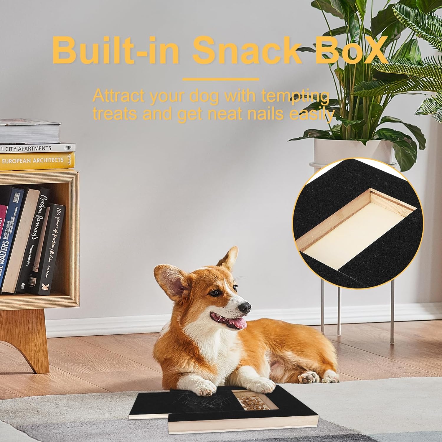 🐾Dog Scratcher with Treat Box & Nail Grinder + 1 Replacement Sandpaper