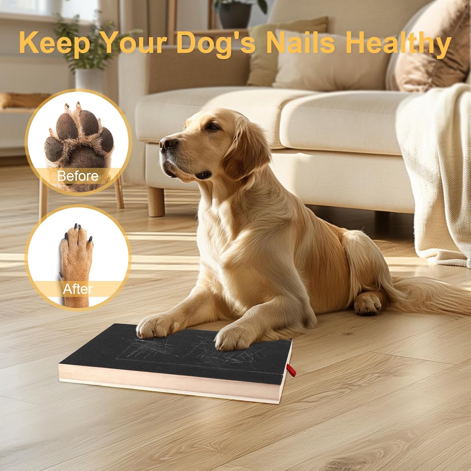 🐾Dog Scratcher with Treat Box & Nail Grinder + 1 Replacement Sandpaper