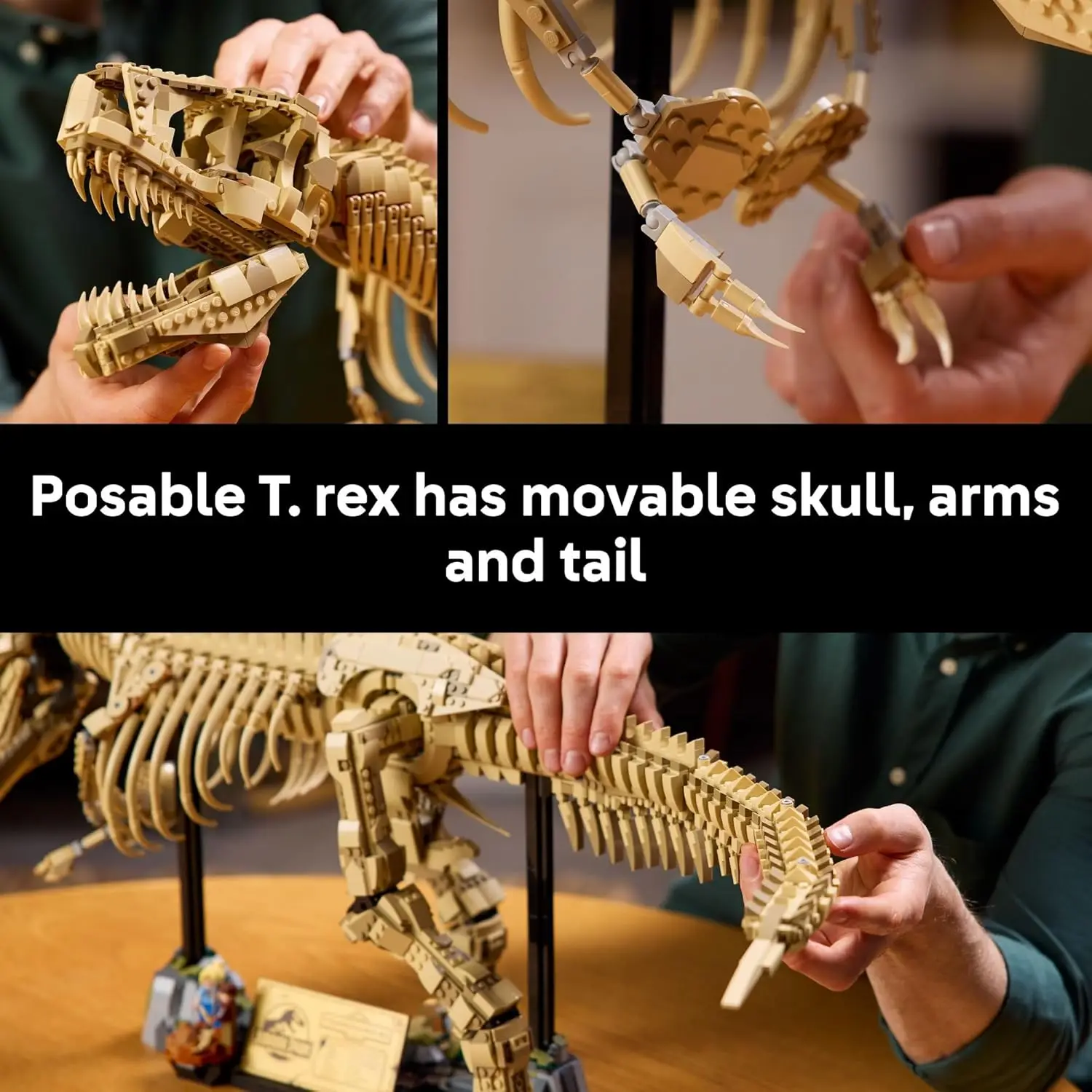 🦕 Dinosaur Fossil Kit - Perfect Movie Lover Gift🦖