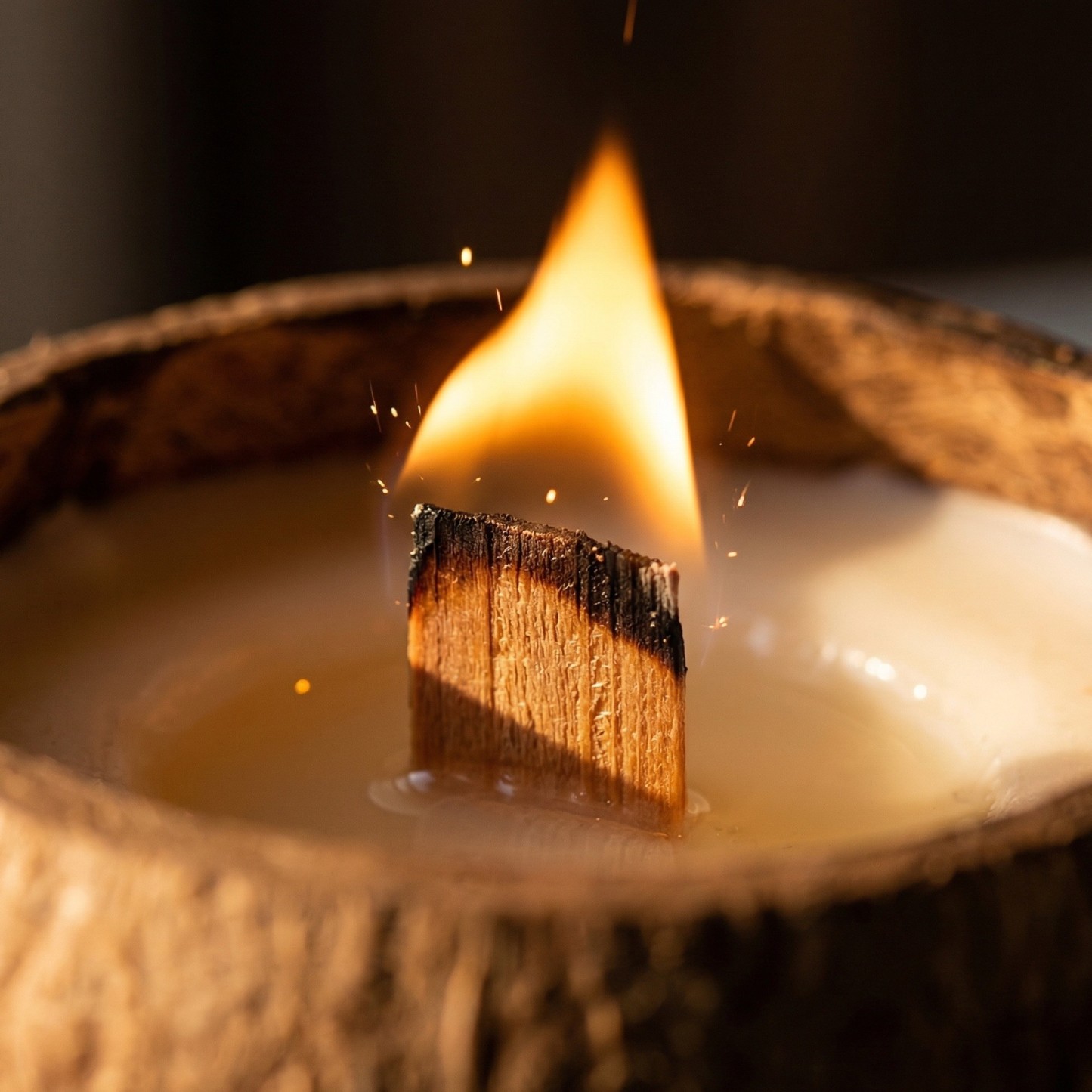 Premium Coconut Shell Aromatherapy Candle