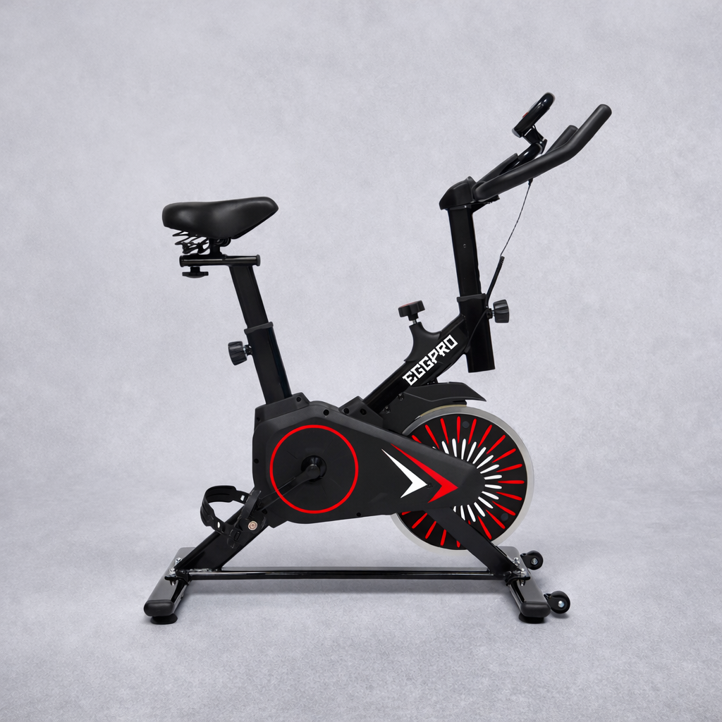 RIDE-101 Indoor Exercise Bike