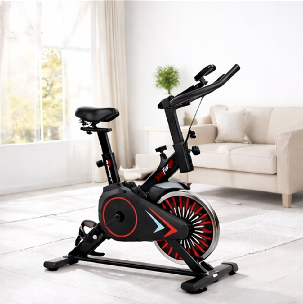 RIDE-101 Indoor Exercise Bike