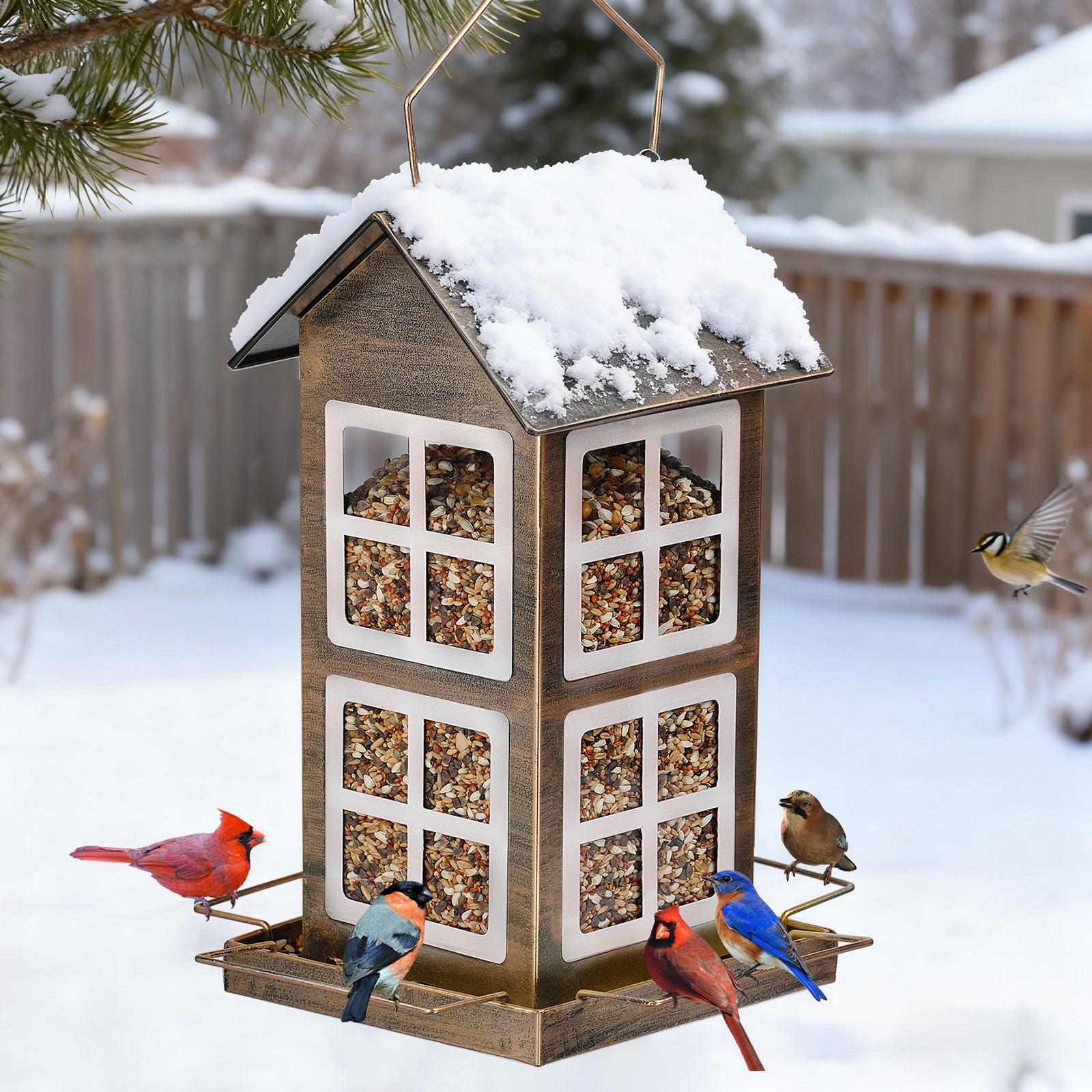 6lb Double-layered Metal Bird Feeder