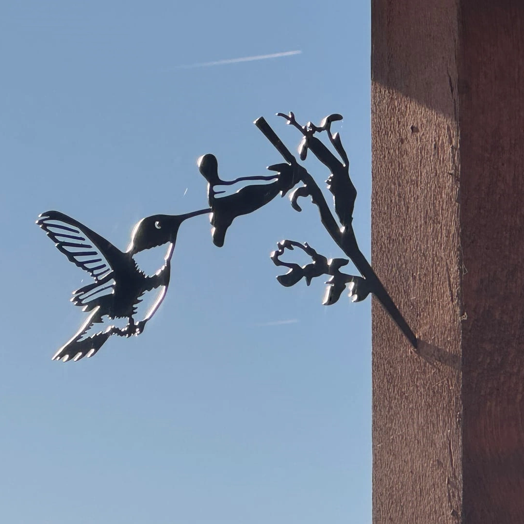 Hummingbird