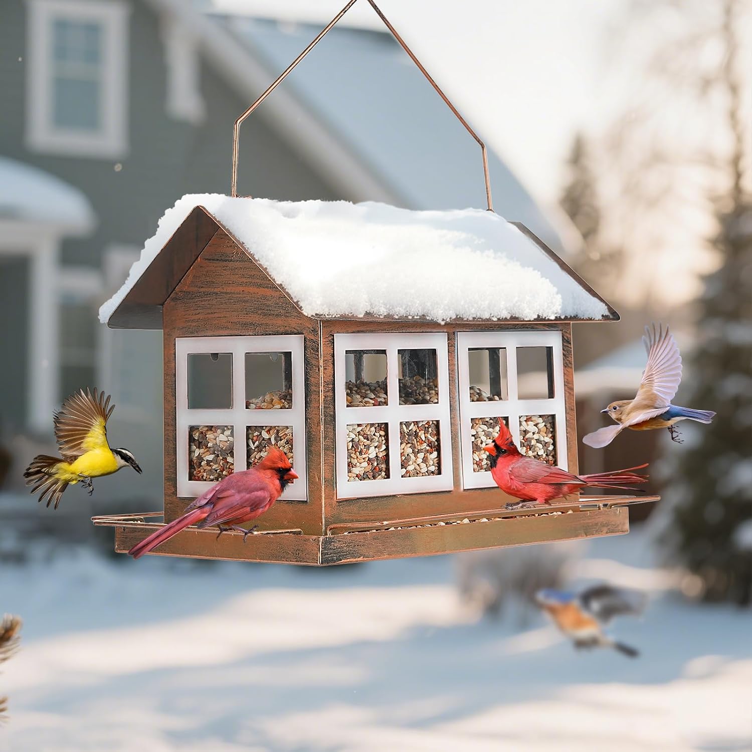 6lb Extra Large Metal House Bird Feeder