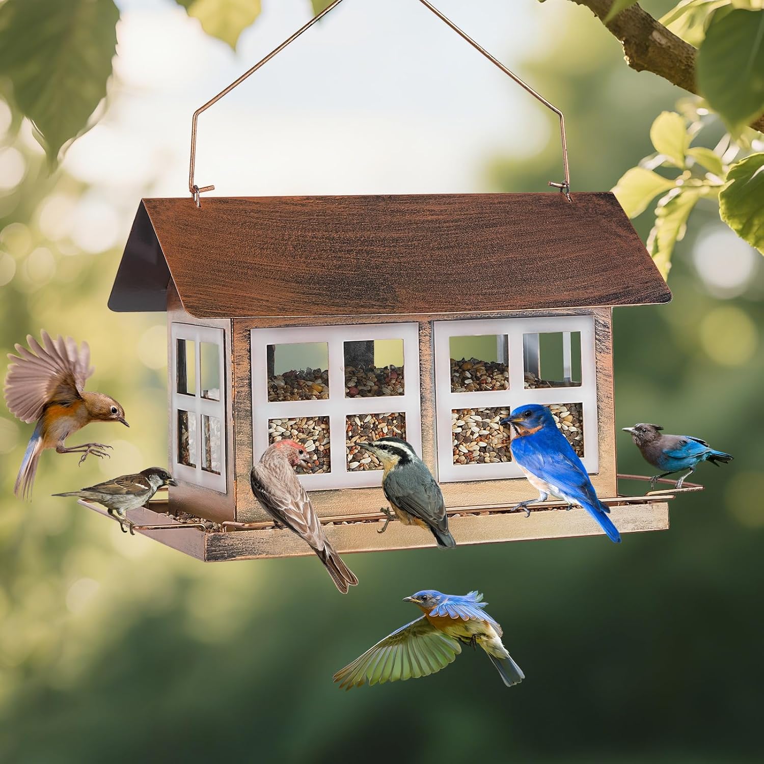 6lb Extra Large Metal House Bird Feeder