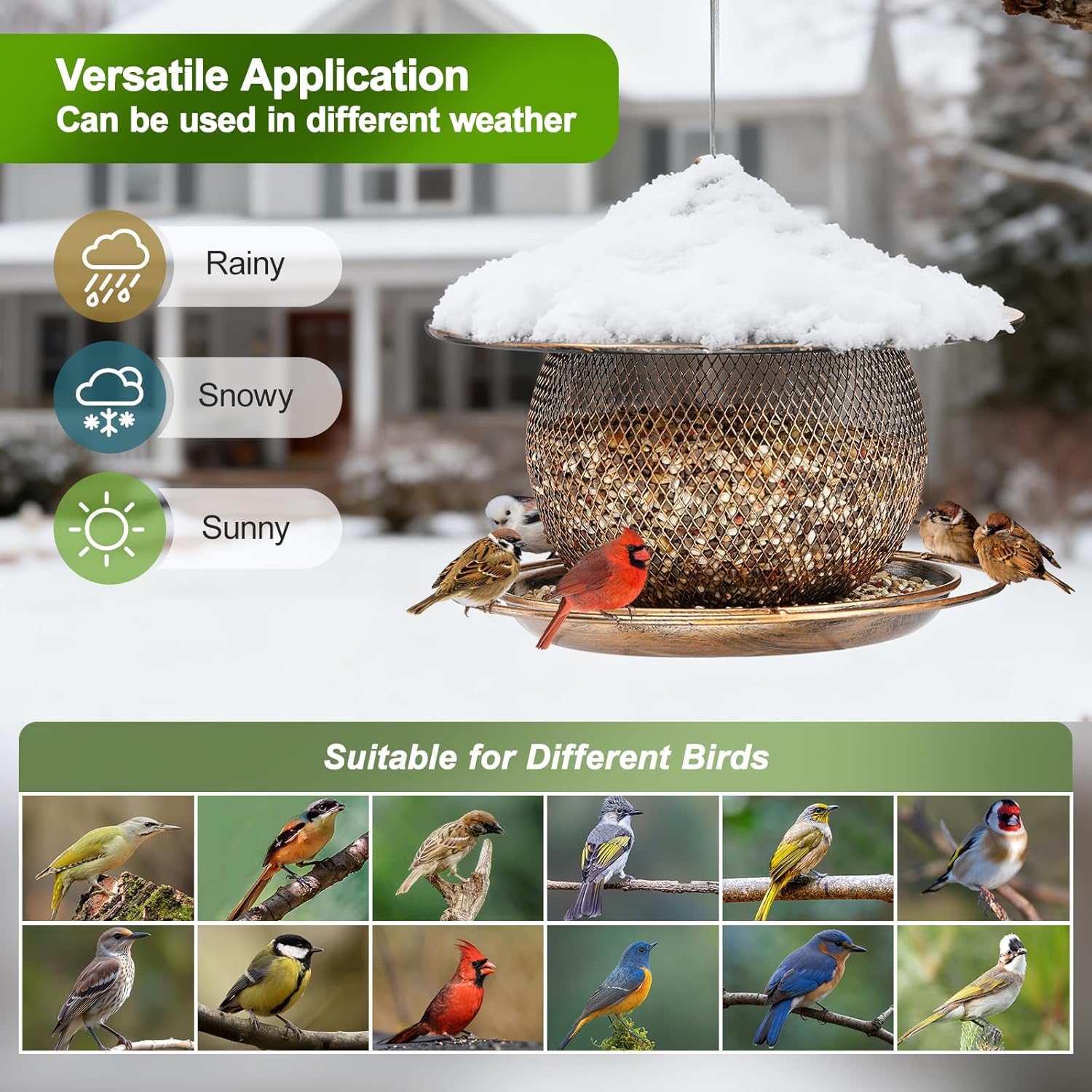 3lb Extra Large Roof Round Bird Feeder