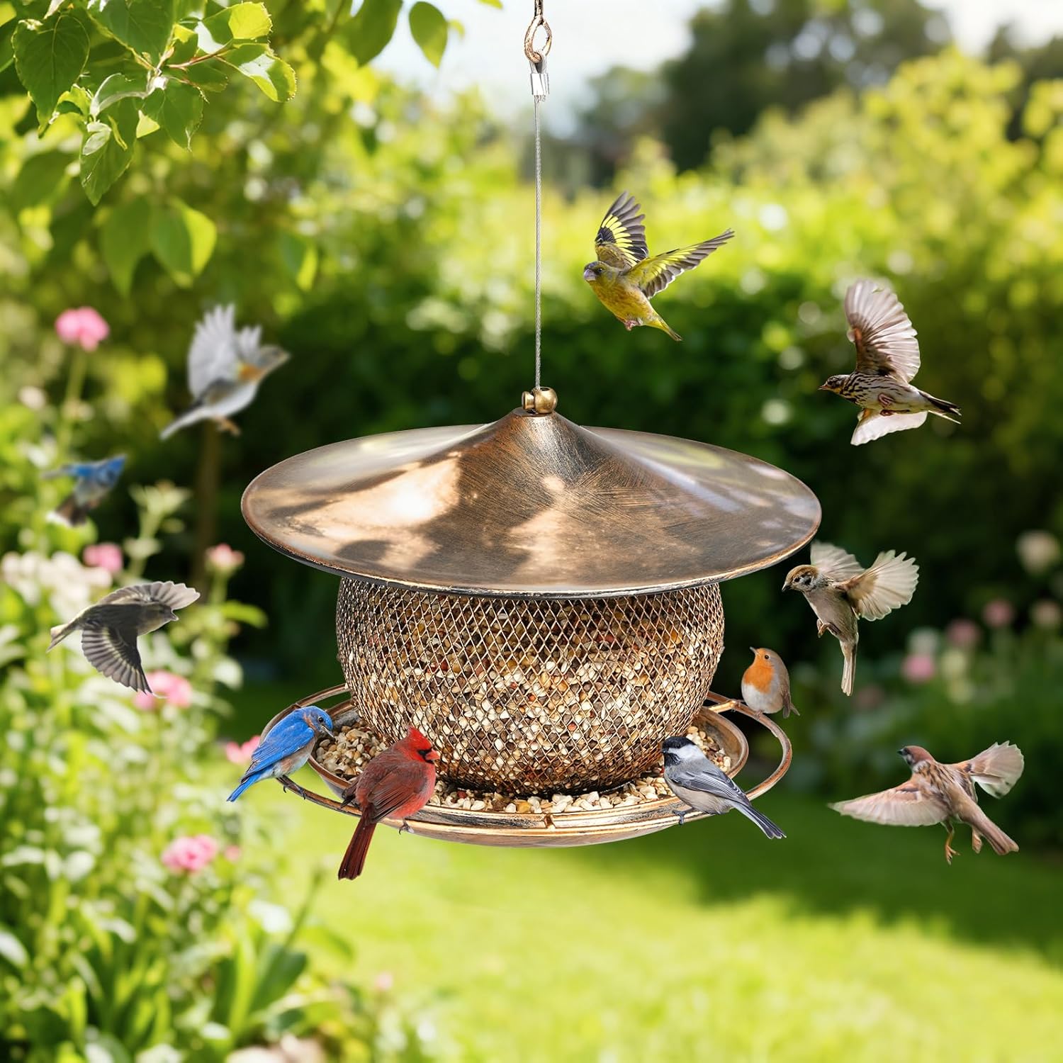 3lb Extra Large Roof Round Bird Feeder