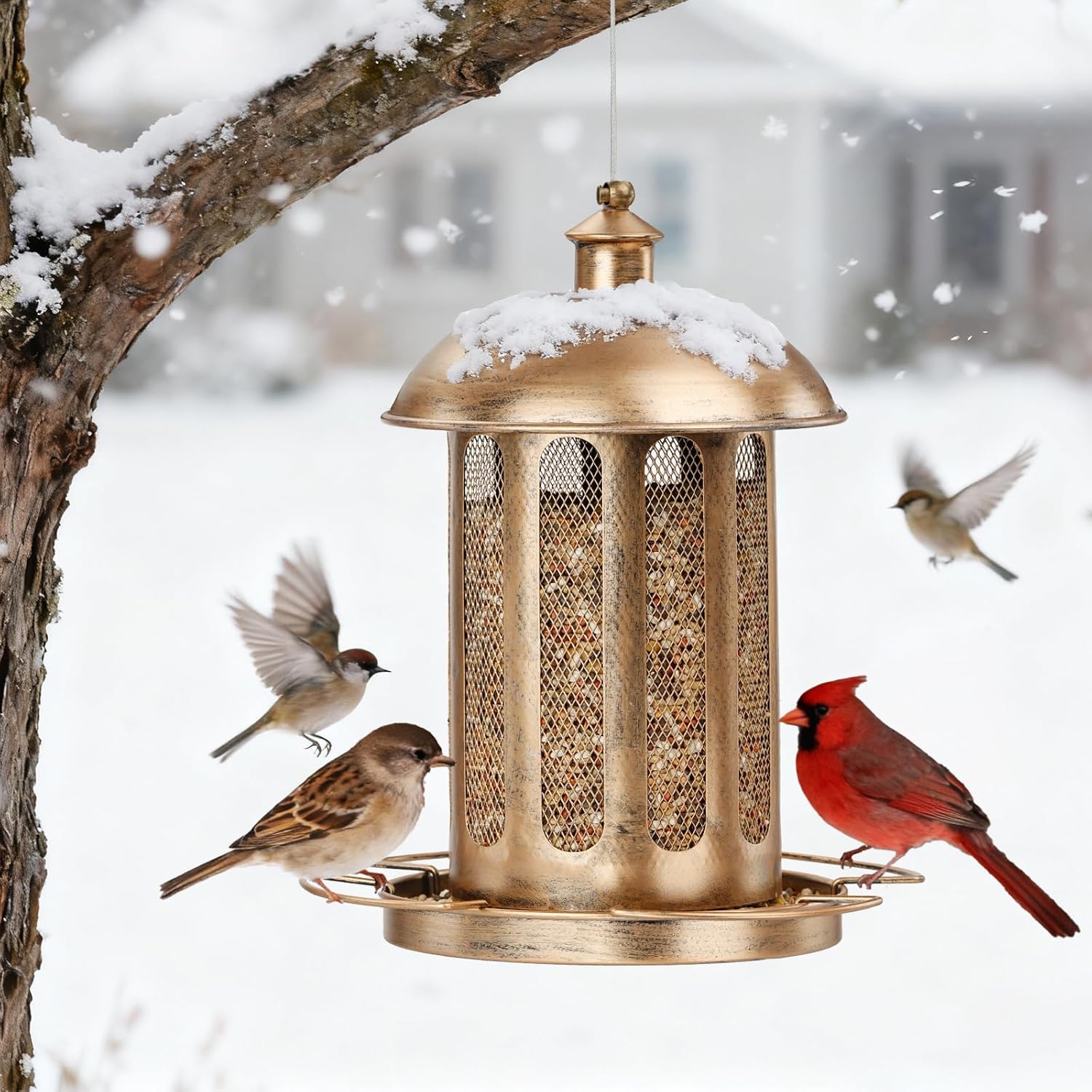4lb Cylindrical Vintage Street Light Bird Feeder