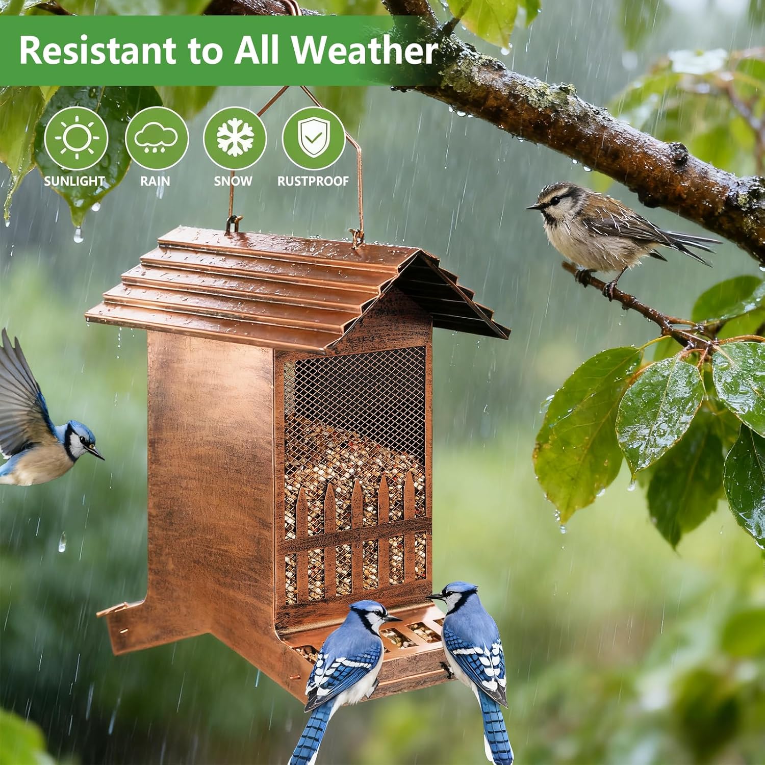 8lb. Double-Sided Eaves Bird Feeder