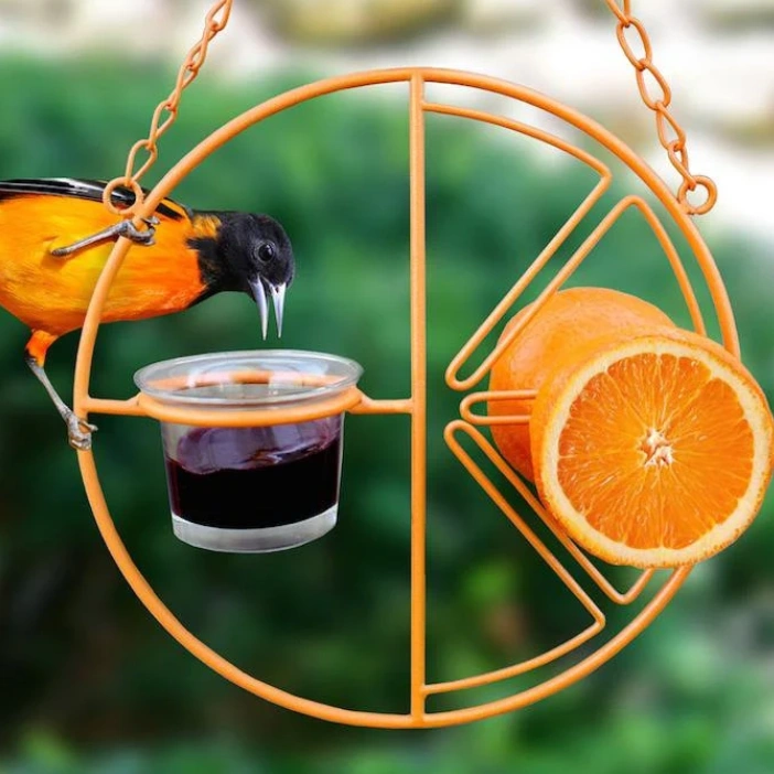 Clementine Oriole Fruit & Jelly Bird Feeder