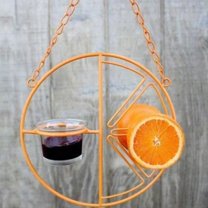 Clementine Oriole Fruit & Jelly Bird Feeder