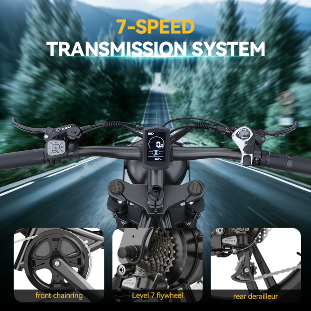 Hidoes B6 20*4.0" Electric Bike 48V 15.6AH Fat Tyre E-Mountain Bike 25KM/H