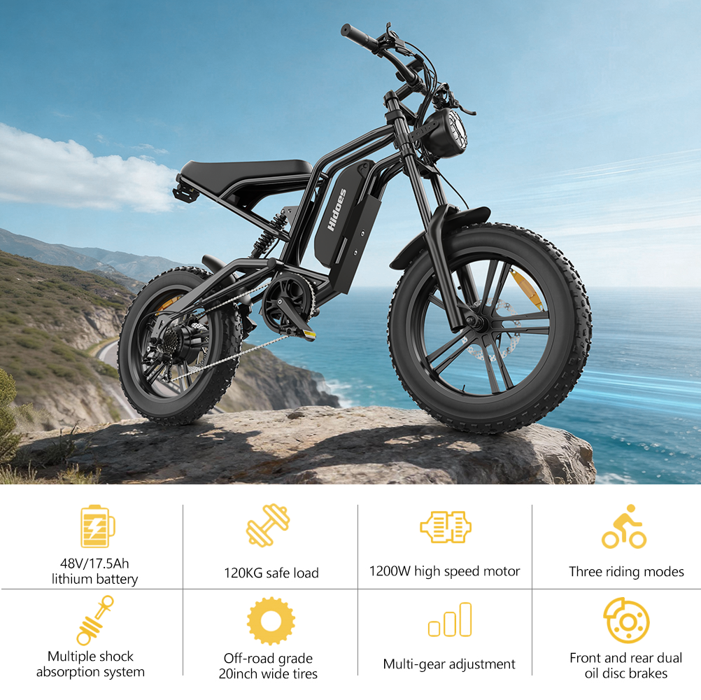 Hidoes B6 20*4.0" Electric Bike 48V 15.6AH Fat Tyre E-Mountain Bike 25KM/H