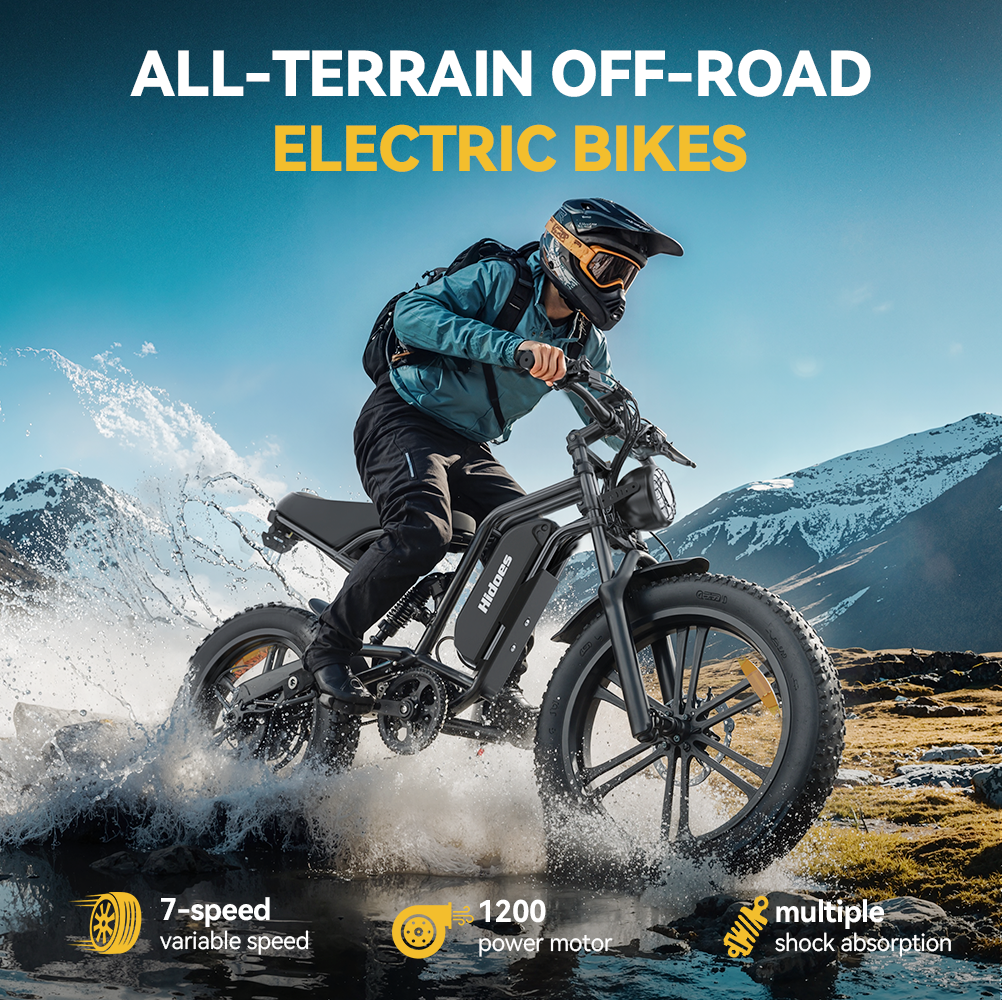 Hidoes B6 20*4.0" Electric Bike 48V 15.6AH Fat Tyre E-Mountain Bike 25KM/H