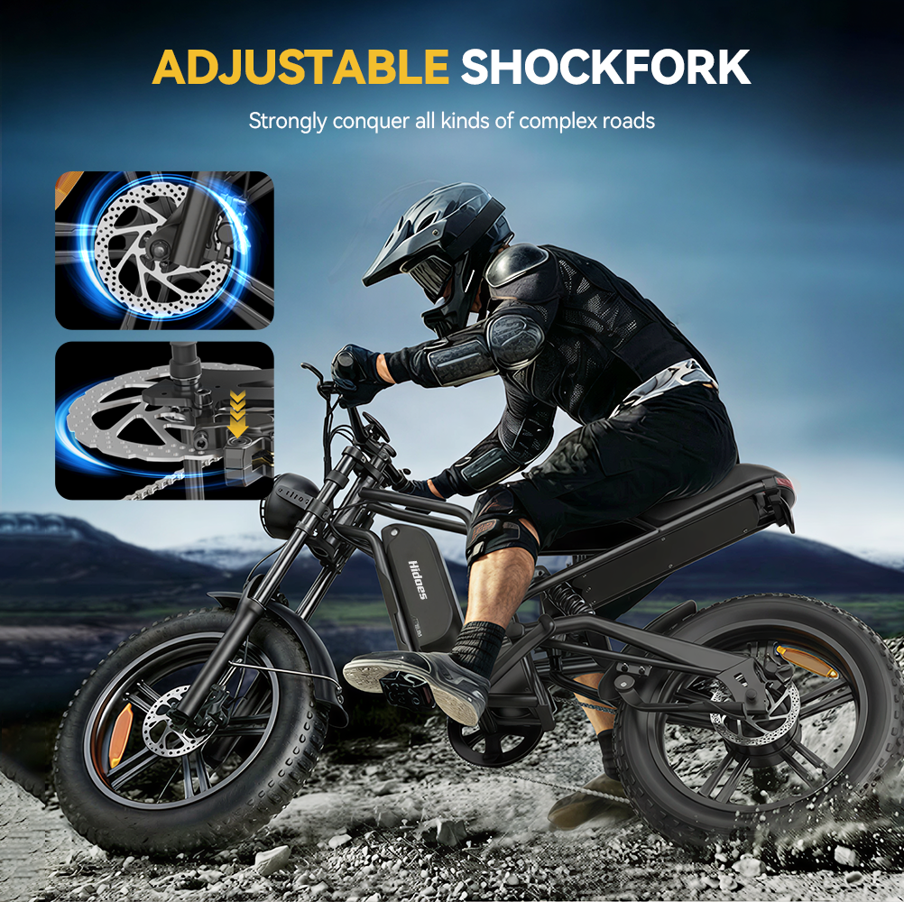 Hidoes B6 20*4.0" Electric Bike 48V 15.6AH Fat Tyre E-Mountain Bike 25KM/H