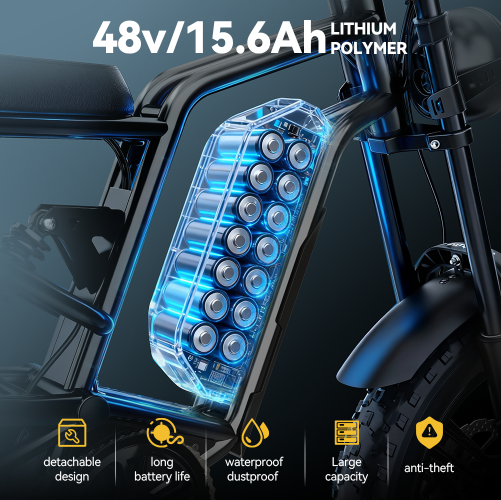 Hidoes B6 20*4.0" Electric Bike 48V 15.6AH Fat Tyre E-Mountain Bike 25KM/H