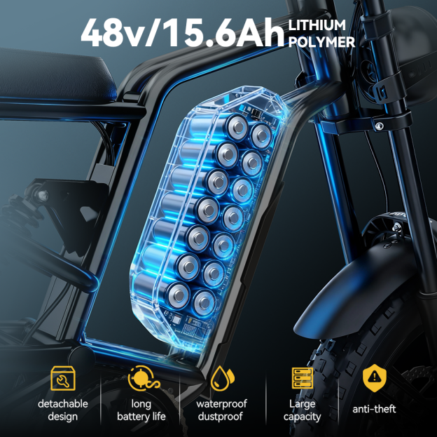 Hidoes B6 20*4.0" Electric Bike 48V 15.6AH Fat Tyre E-Mountain Bike 25KM/H