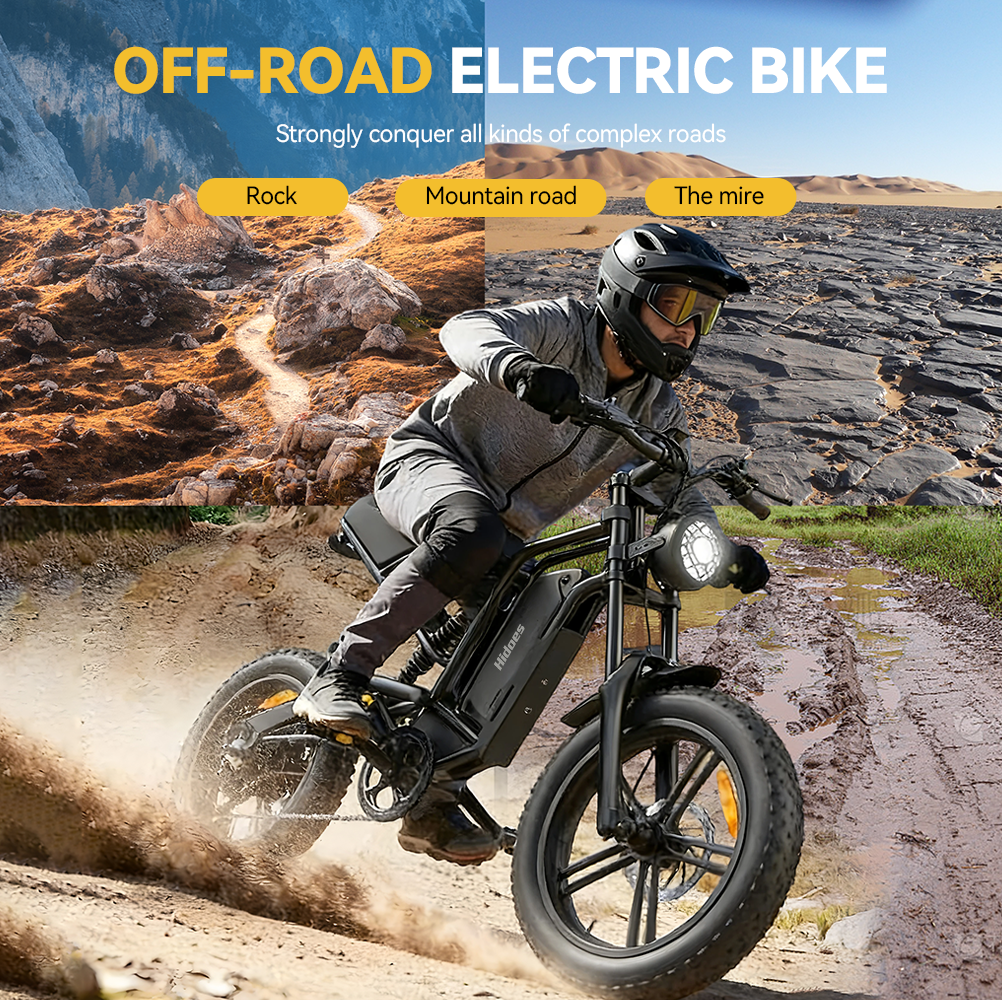 Hidoes B6 20*4.0" Electric Bike 48V 15.6AH Fat Tyre E-Mountain Bike 25KM/H