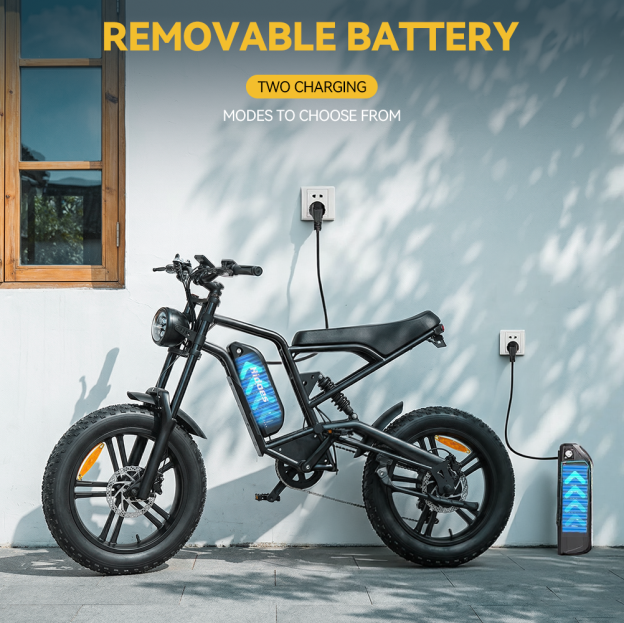 Hidoes B6 20*4.0" Electric Bike 48V 15.6AH Fat Tyre E-Mountain Bike 25KM/H