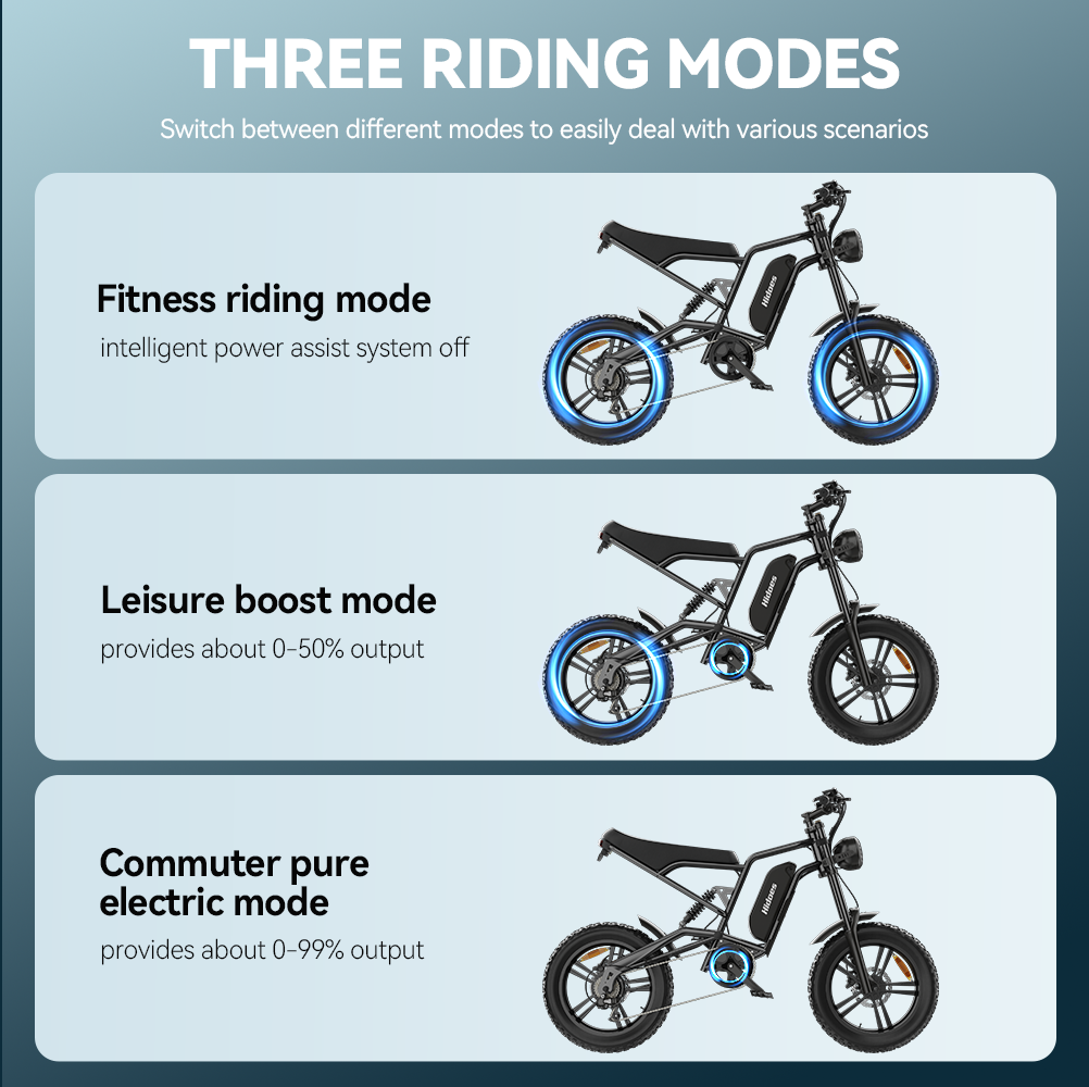 Hidoes B6 20*4.0" Electric Bike 48V 15.6AH Fat Tyre E-Mountain Bike 25KM/H