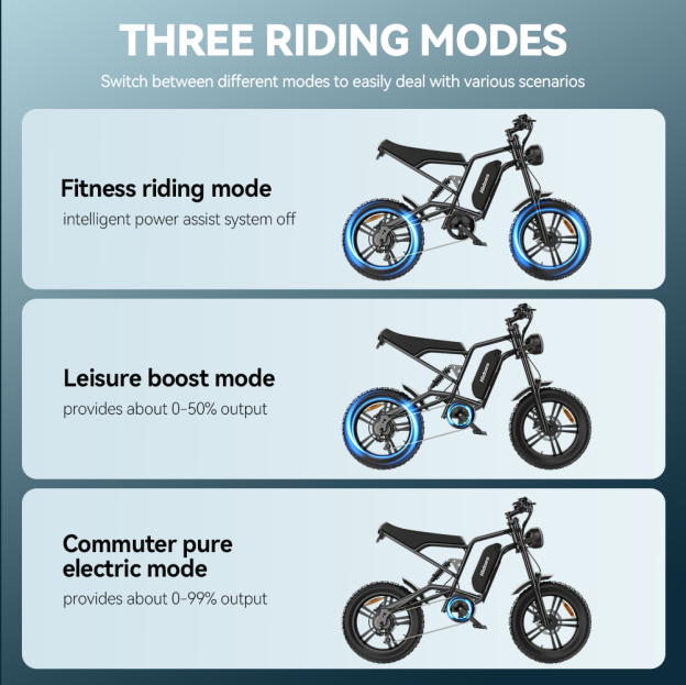 Hidoes B6 20*4.0" Electric Bike 48V 15.6AH Fat Tyre E-Mountain Bike 25KM/H