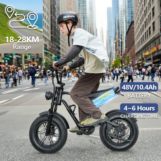 Hidoes B6 Mini Electric Bike With 48v 10ah Battery & 16" Fat Tire
