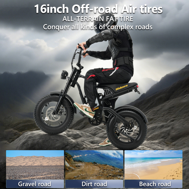 Hidoes B6 Mini Electric Bike With 48v 10ah Battery & 16" Fat Tire