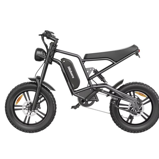 Hidoes B6 20*4.0" Electric Bike 48V 15.6AH Fat Tyre E-Mountain Bike 25KM/H
