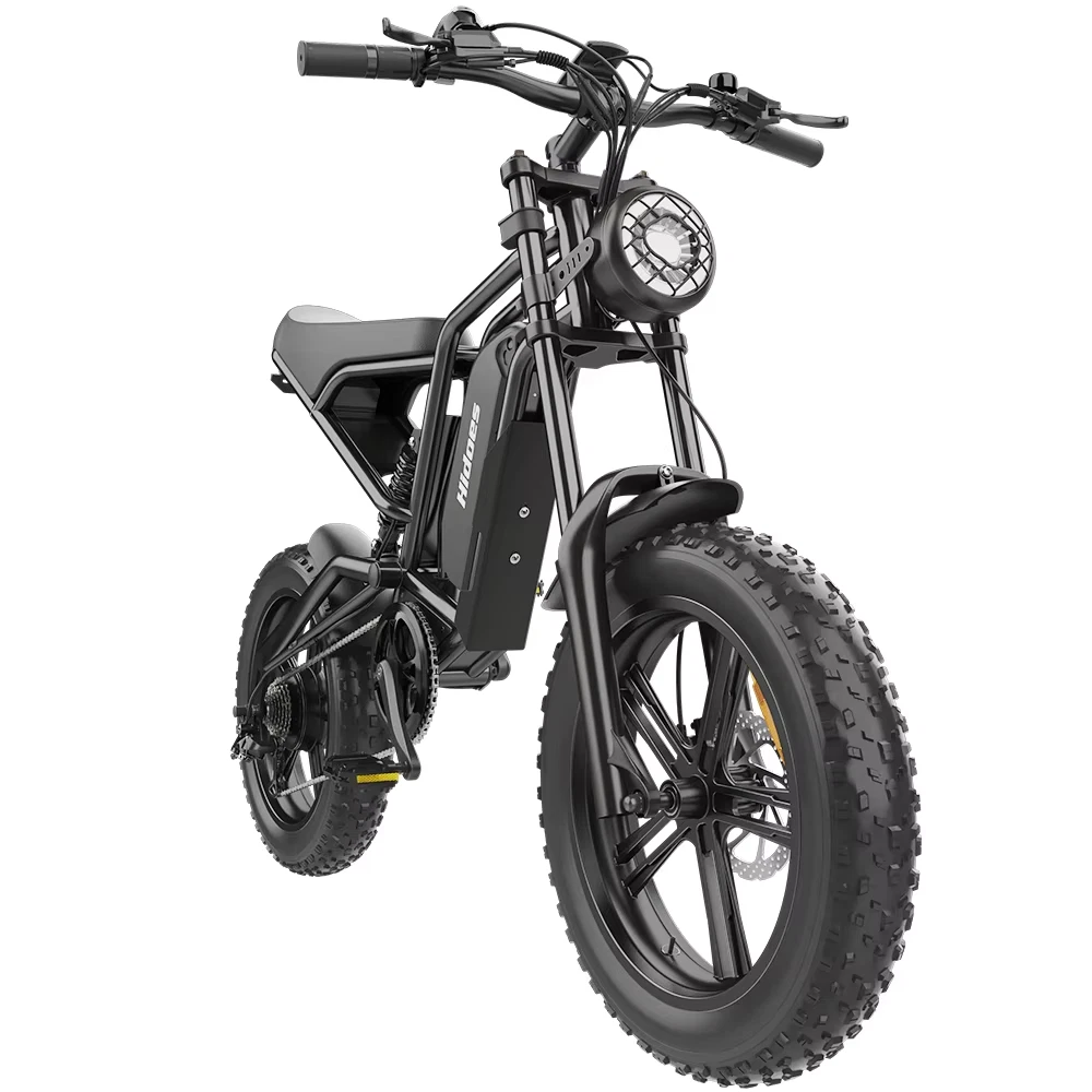 Hidoes B6 20*4.0" Electric Bike 48V 15.6AH Fat Tyre E-Mountain Bike 25KM/H