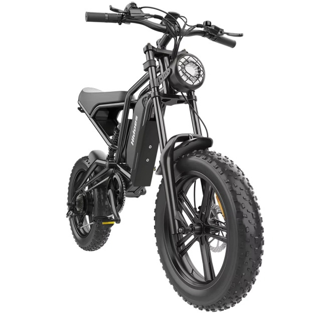 Hidoes B6 20*4.0" Electric Bike 48V 15.6AH Fat Tyre E-Mountain Bike 25KM/H