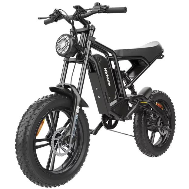 Hidoes B6 20*4.0" Electric Bike 48V 15.6AH Fat Tyre E-Mountain Bike 25KM/H