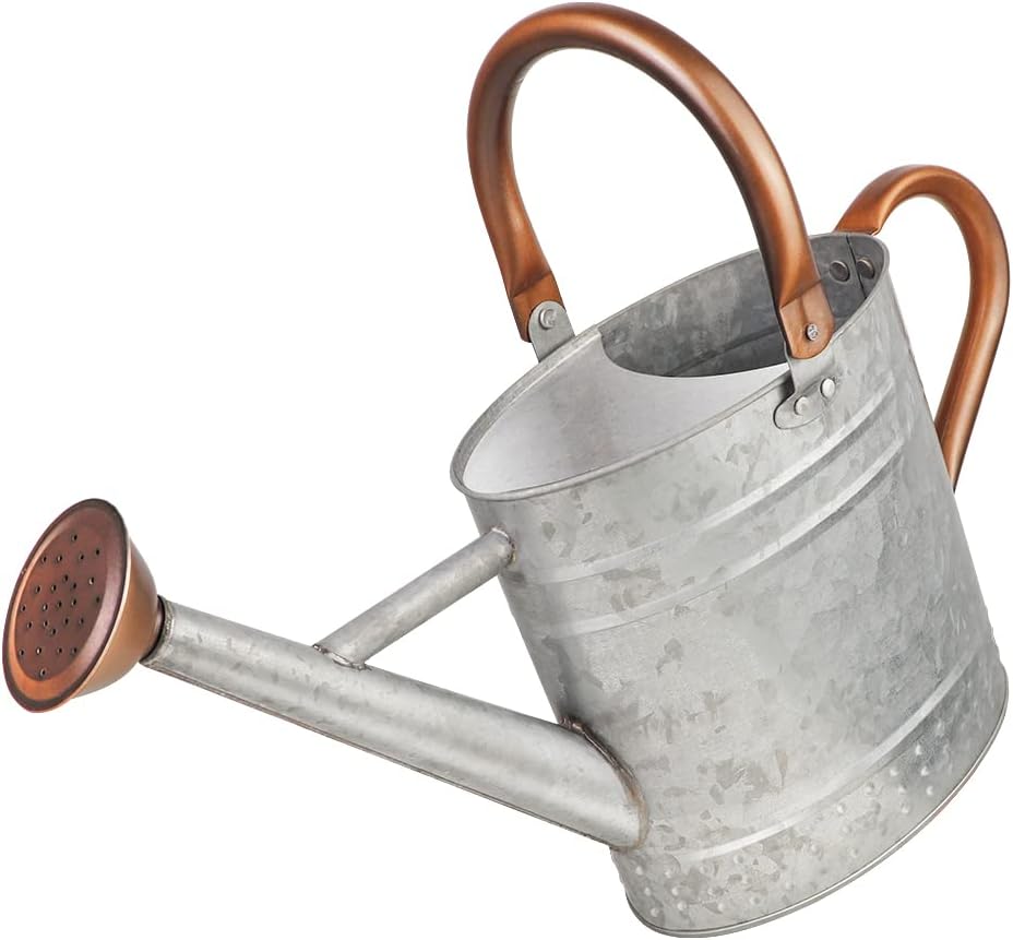 1 Gallon Galvanized Steel Watering Can, Metal Water Can with Removable Spout & Embossed Design for Indoor Outdoor Plants