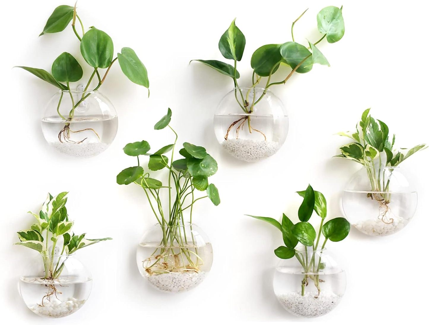 4Pcs Oblate Wall Hanging Glass Propagation Station, Hydroponic Flower Vase for Plant Cuttings, Home Bathroom Office Living Room Wall Decor Gift, Plants Not Included