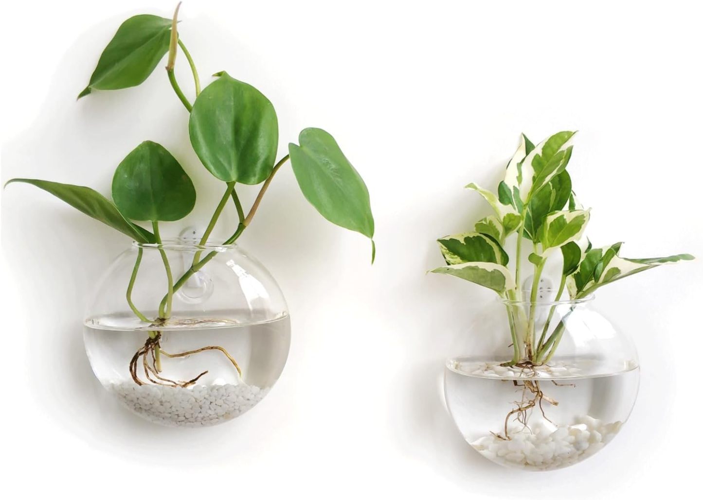 4Pcs Oblate Wall Hanging Glass Propagation Station, Hydroponic Flower Vase for Plant Cuttings, Home Bathroom Office Living Room Wall Decor Gift, Plants Not Included